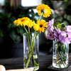 Various Size Nordic Vintage Glass Bud Vase Cylindrical Flower Vase for Home Office Wedding Decoration